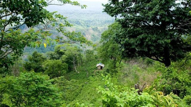 চট্টগ্রাম বিভাগের পার্বত্য জেলা খাগড়াছড়ির সাজেকের প্রাকৃতিক দৃশ্য। ৬ই জুন, ২০০৯। এখানকার ক্ষুদ্র নৃগোষ্ঠীর মানুষ খাদ্যশস্য উৎপাদনের জন্য জুম চাষের ওপর নির্ভরশীল।