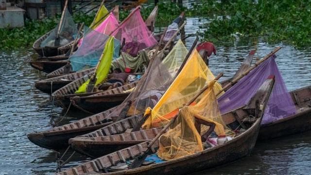সামনে দুই মাস ডেঙ্গু ছড়িয়ে পড়া নিয়ে কী পূর্বাভাস দিচ্ছেন গবেষকরা