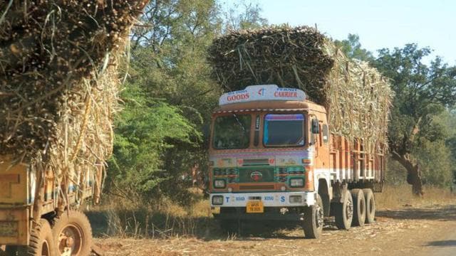 ইথানল ব্লেন্ডেড জ্বালানি তৈরি করতে দরকার হয় আখ