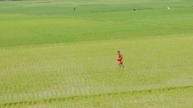 কৃষকদেরকে জমিতে কাজ করতে দেখা যাচ্ছে